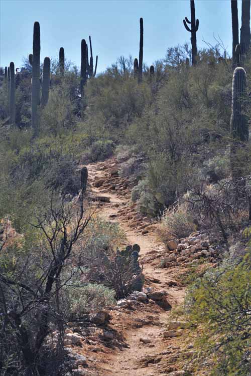 trail